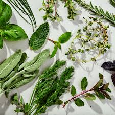 ayurvedic 