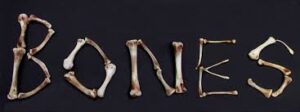 bones