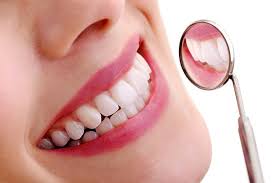 teeth